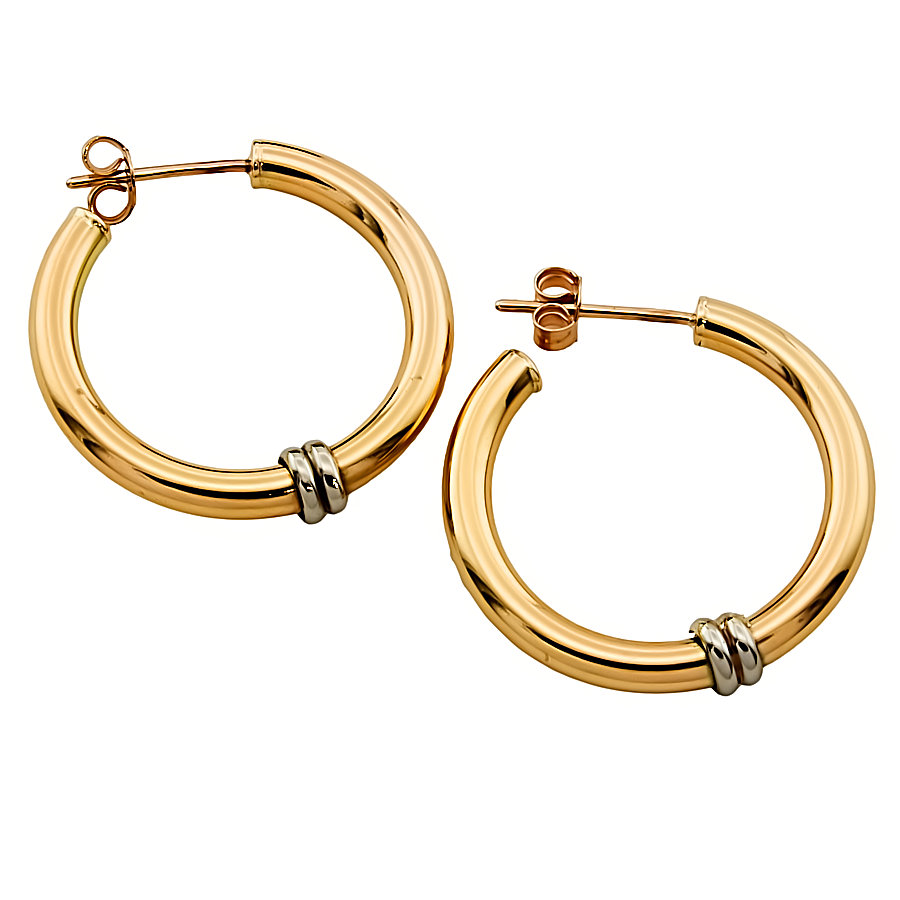 9ct gold 2-tone 2.9g Hoop Earrings